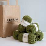 Lankava Piristyspussi, Kielometsä-pusero.